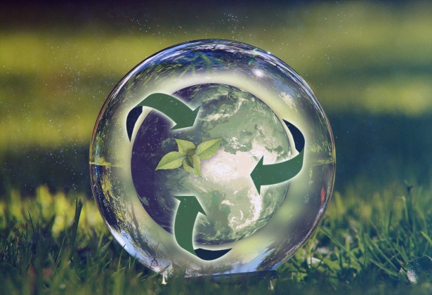 Bientôt une formation obligatoire à la transition écologique ...