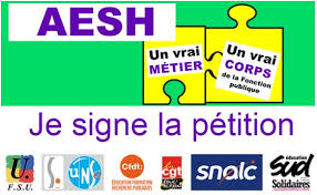 Pétition de l'intersyndicale pour donner un réel statut au AESH